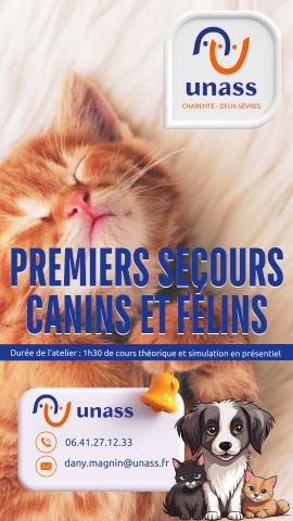 Promotion - Premiers secours canins et félin